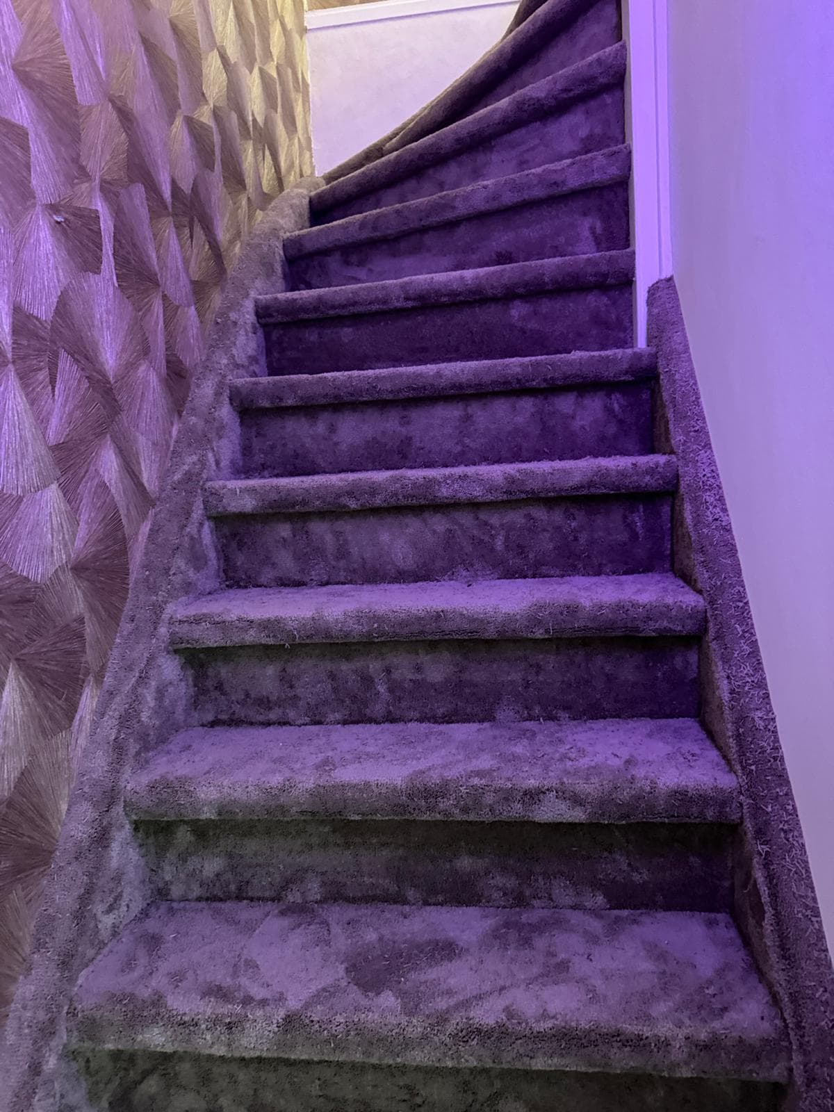Portfolio — foto 15